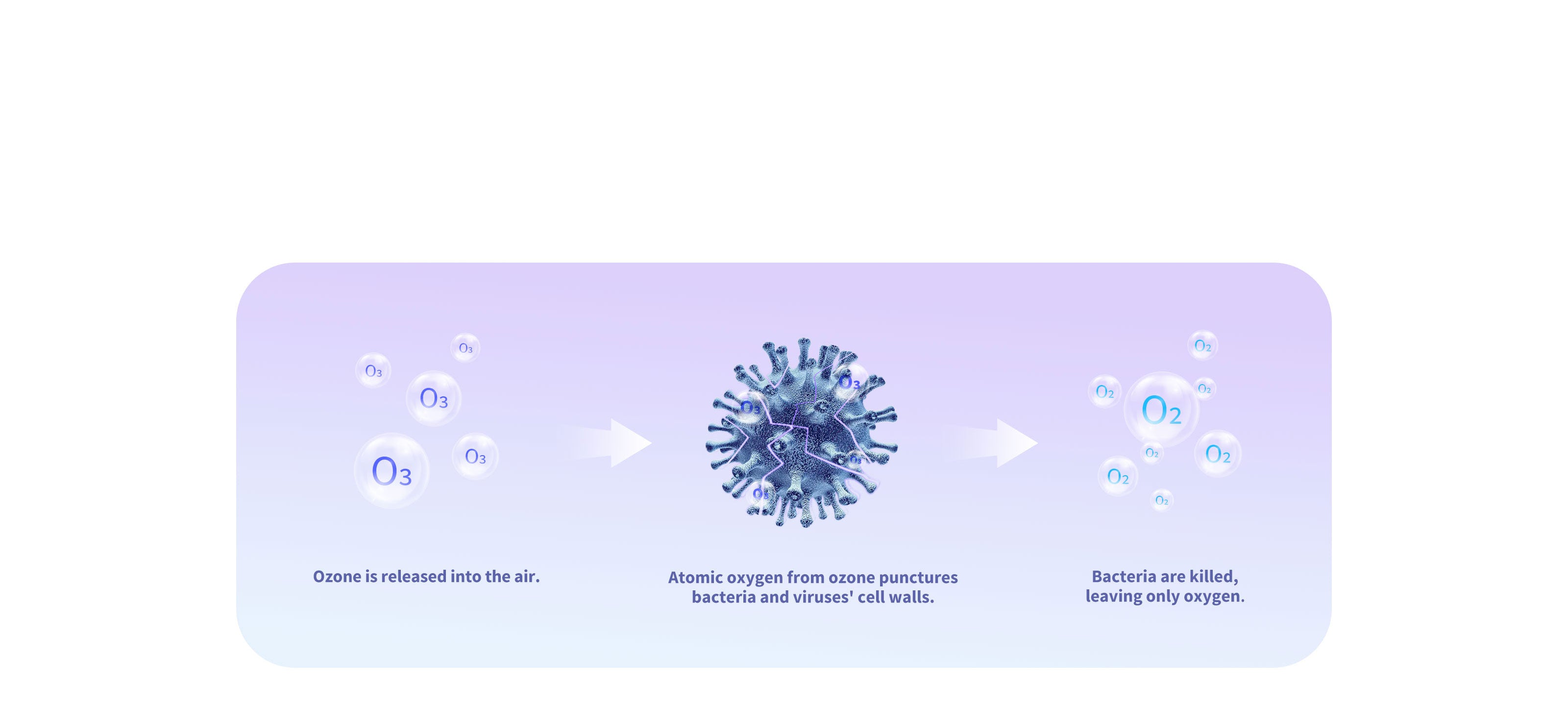 AirSalon Max Pro Pet Dryer Box using ozone-powered disinfection to create a 99.99% bacteria-free environment for safe pet grooming