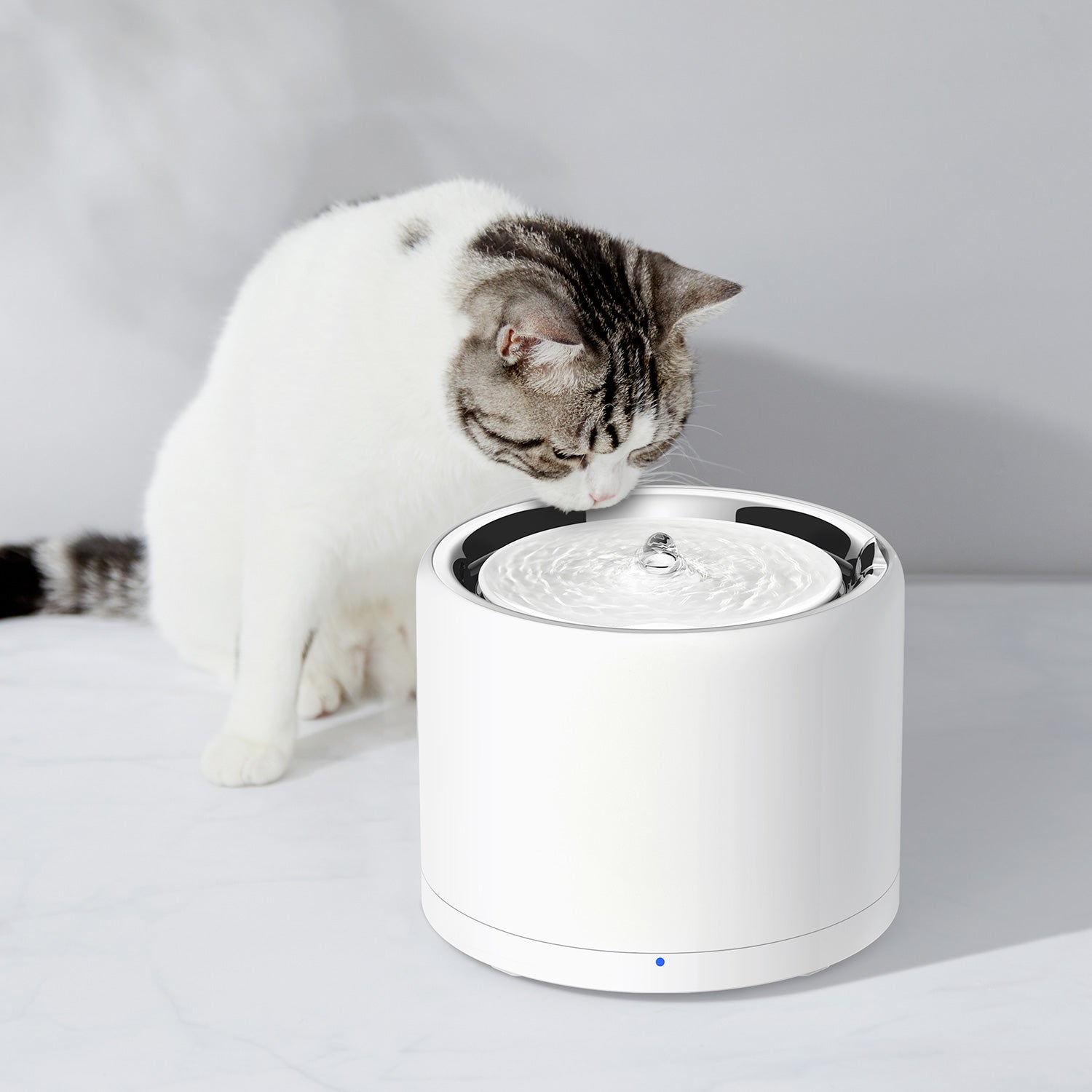EverSweet 3 Pro UVC Pet Water Fountain used by a cat drinking fresh flowing water at home