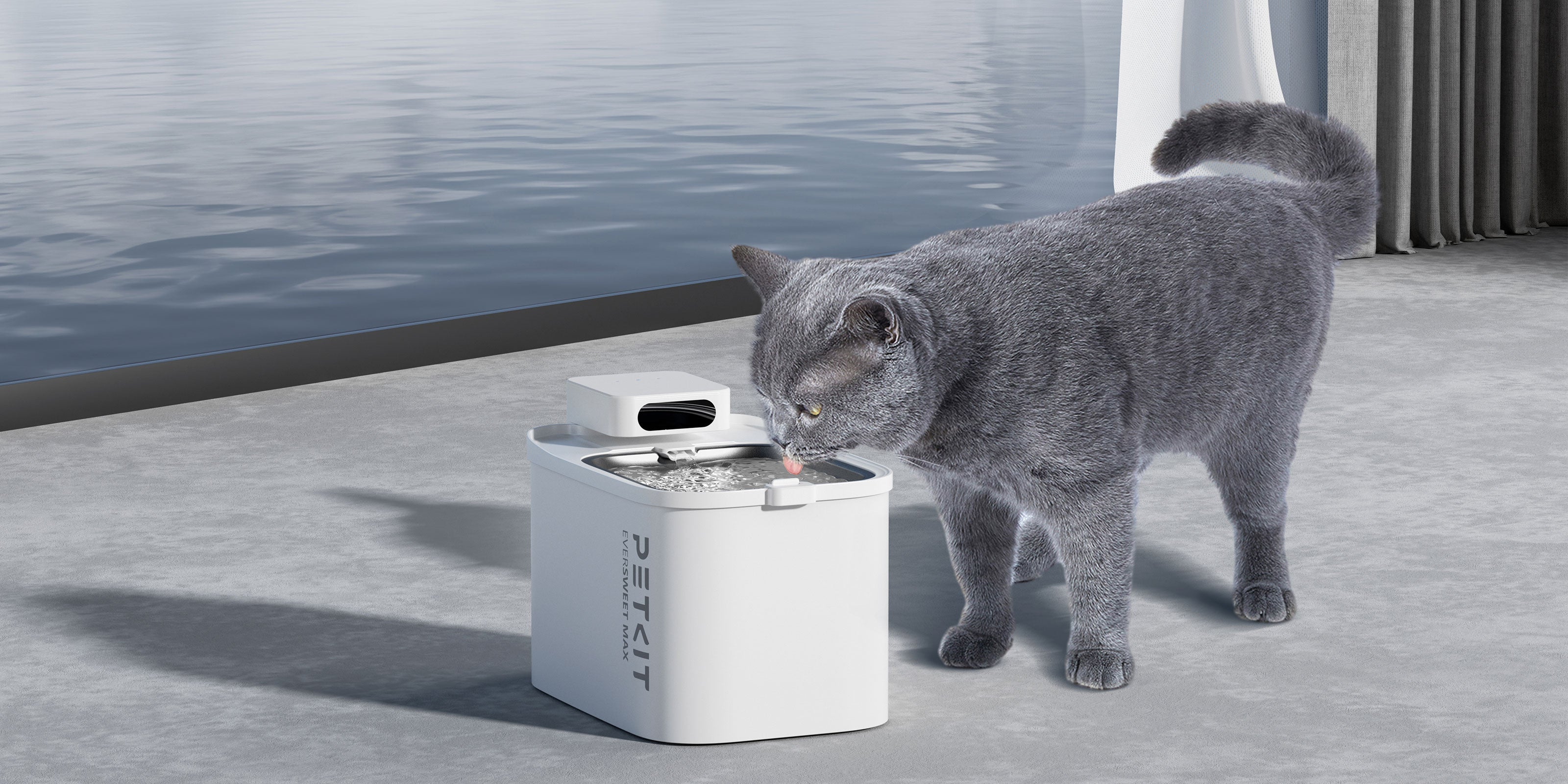 EverSweet Max cordless pet water fountain designed for elevated placement to help keep drinking water fresh