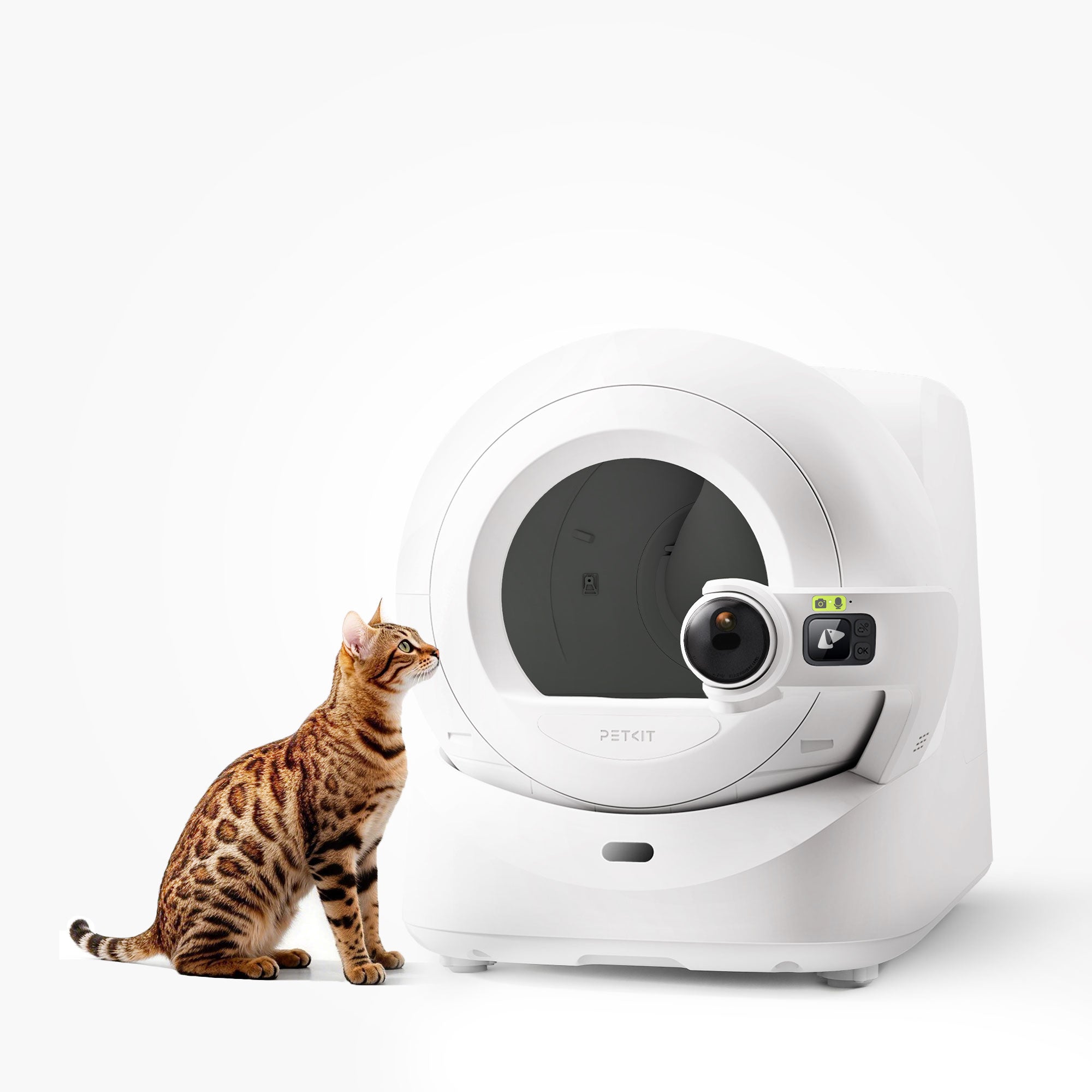 Self-cleaning cat litter box collection