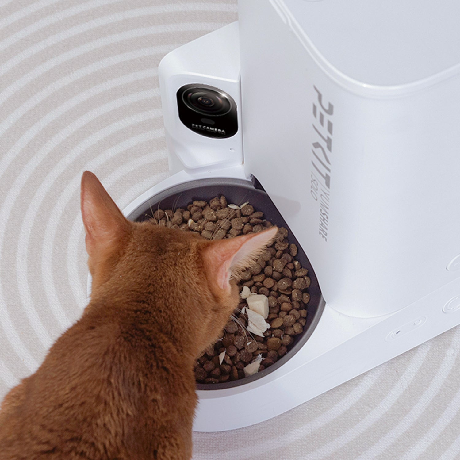 PETKIT YumShare Solo with camera automatic cat feeder showing camera and bowl details while cat is eating